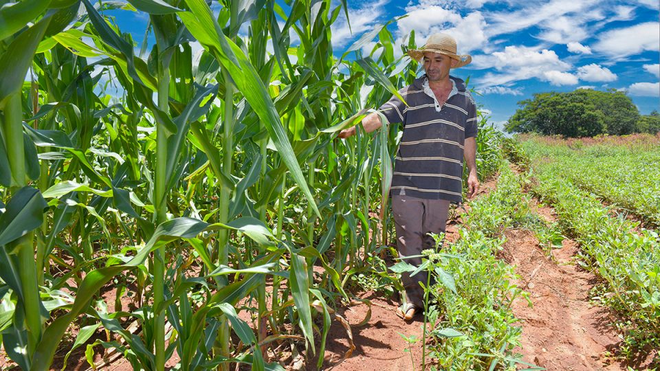 MicrosoftTeams-image (4)